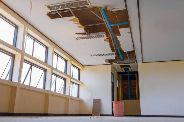 Best Mold removal after water damage  in Branson, MO