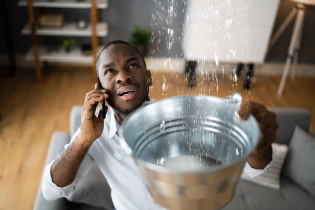 Best Water damage restoration near me  in Branson, MO