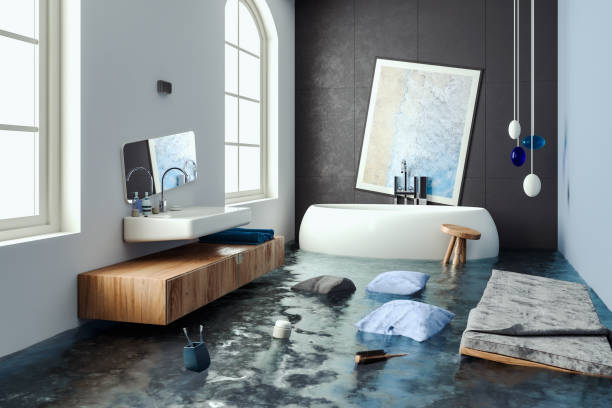 Best Professional water damage repair  in Branson, MO