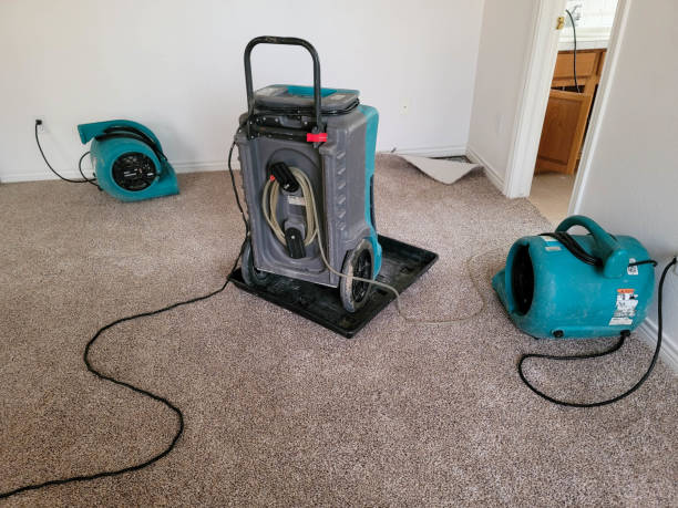 Water damage restoration process in Branson, MO
