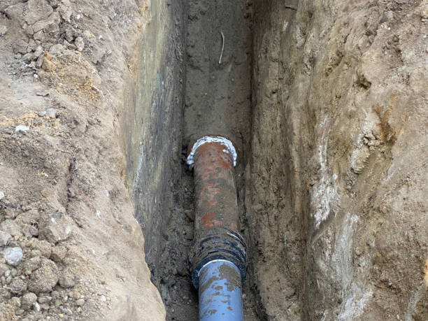 Best Sewage cleanup and water damage restoration  in Branson, MO