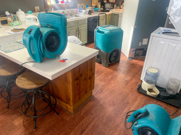 Best Commercial water damage restoration  in Branson, MO