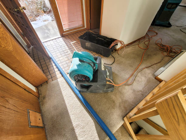 Best Flooded house restoration  in Branson, MO