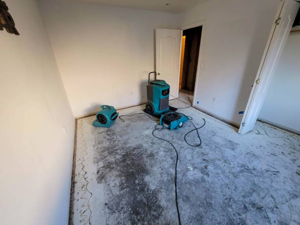 Best Local water damage restoration  in Branson, MO