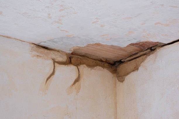 Best Fire Damage Restoration  in Branson, MO