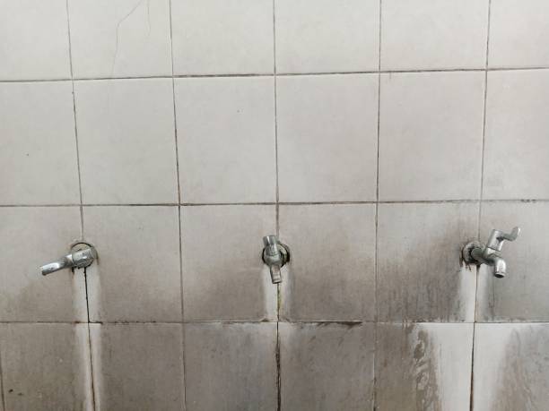 Best 24/7 water damage repair  in Branson, MO