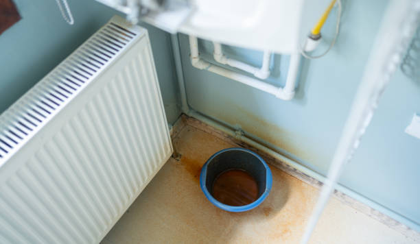 Best Professional water damage repair  in Branson, MO