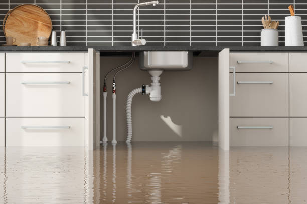 Best Flood damage cleanup  in Branson, MO