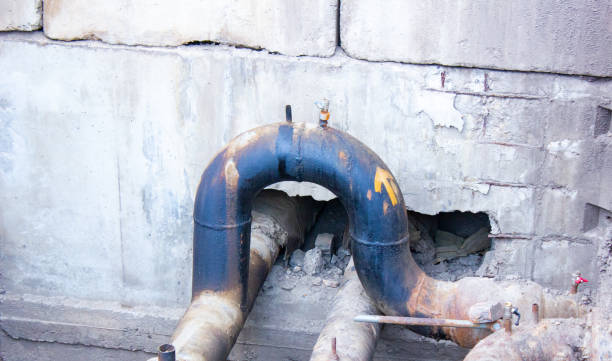 Best Water damage restoration near me  in Branson, MO