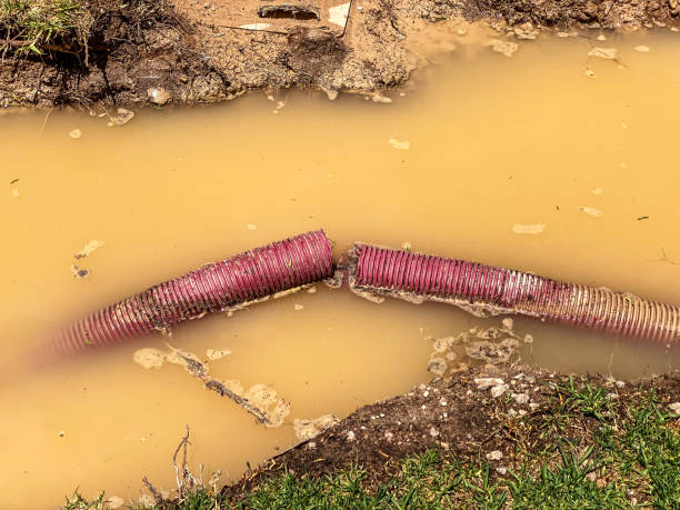 Best Local water damage restoration  in Branson, MO